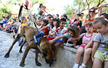 Los pequeños han visto de primera mano cómo trabaja Lobo | Jesús Cruces.