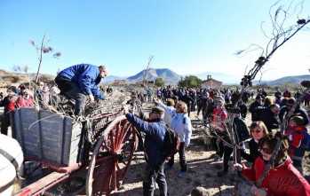 Unas 260 personas han recogido leña en Las Cañadas | Jesús Cruces.