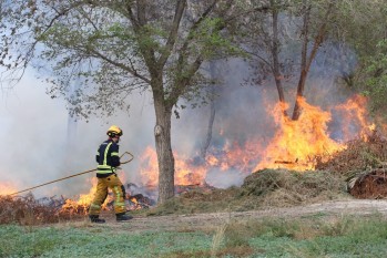 Los bomberos han acudido a sofocar las llamas.