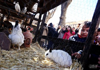 Cientos de familias se han acercado para disfrutar de la granja móvil | Jesús Cruces.