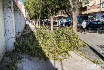 Algunas ramas se han caído en la avenida de las Olimpiadas | Nando Verdú.