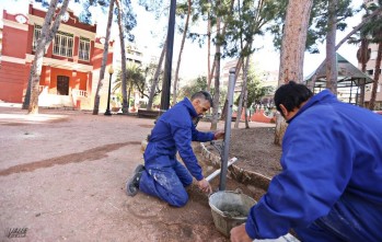 Los trabajos comenzaron a principios de semana | Jesús Cruces.