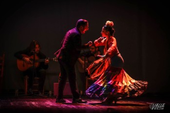 El espectáculo se celebró en el Teatro Castelar | J.C.