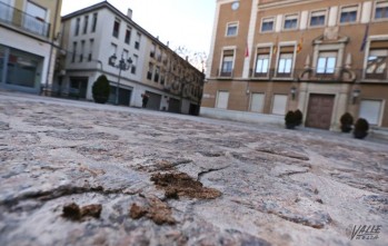 Imagen de un excremento pisado en la Plaza de la Constitución | Jesús Cruces.