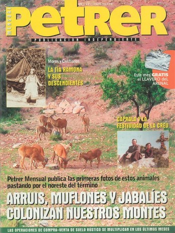 Petrer Mensual Nº 41 - Mayo de 2004