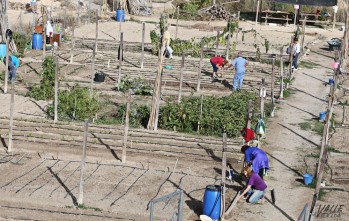 El Ayuntamiento de Petrer busca ampliar los huertos urbanos