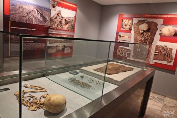 El Museo Arqueológico celebrará esta fecha con diversas actividades | Jesús Cruces.