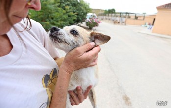 Por suerte el animal no resultó herido | Jesús Cruces.