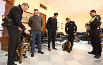 Lobo y Suso han estado esta mañana en Alcaldía | Jesús Cruces.