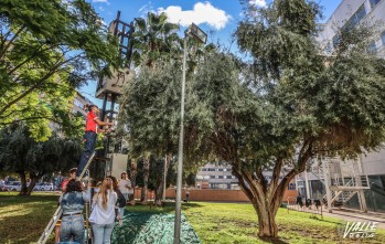 Alumnos del primer y segundo curso han realizado la actividad | J.C.