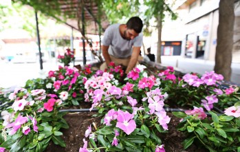 Las flores inundan de colorido las calles céntricas de Elda | Jesús Cruces.