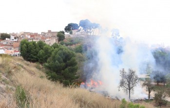 El PP exige explicaciones por los restos de poda en los que se inició el fuego en los Jardines del Vinalopó