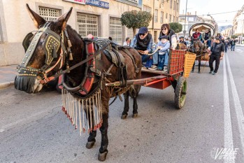 Decenas de caballos y burros han participado en la romería | Nando Verdú.