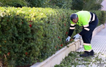 Comienza el embellecimiento de los parques y jardines de la ciudad