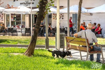 Desde el PP lamentan la falta de espacios para los perros | Nando Verdú.
