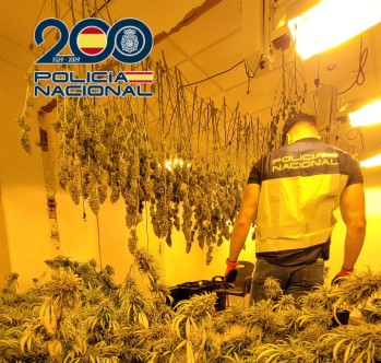 La Policía Nacional encontró marihuana en el interior de la vivienda. 