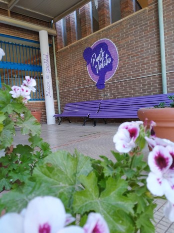 Puntos violeta y patios inclusivos en el CEIP Santo Negro