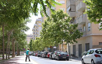 Esta calle cuenta con medio millar de viviendas | Jesús Cruces.