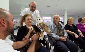 Las aves ayudan a realizar una estimulación cognitiva.