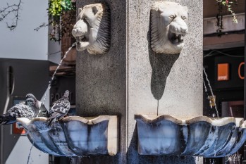 La concentración será a las 12 horas el sábado en la Plaza Sagasta.