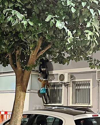 Un joven accediendo a la vivienda okupada | Imagen cedida.
