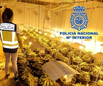Imagen cedida por la Policía Nacional. 