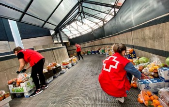 Cruz Roja ha recibido 6 toneladas de frutas y hortalizas de gran calidad para familias necesitadas/Imagen cedida por Gustavo López.