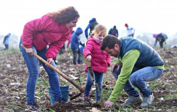 Esta es una actividad idónea para fomentar el cuidado de la naturaleza entre los más pequeños | Jesús Cruces.