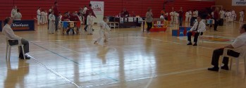  Vuelve a Elda el Campeonato interior de katas y kumite.