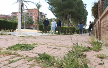 La hierba ha crecido en el suelo de este parque.