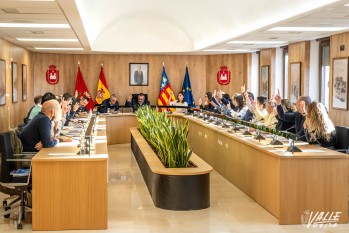 Ha sido aprobado en pleno | Nando Verdú.