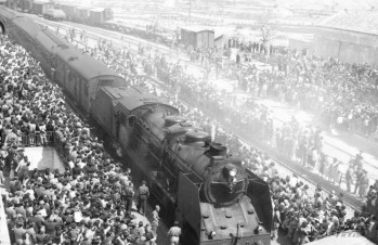 El tren haciendo su entrada en la estación de ferrocarríl de Elda .