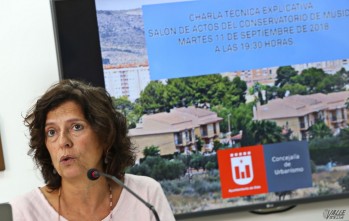 La Junta de Gobierno declara legales las viviendas de La Jaud y queda a la espera de que se pronuncie el TSJ