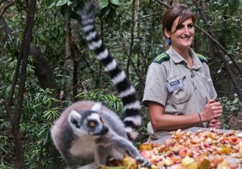 Ibáñez trabaja con animales liberados de zoos en Sudáfrica.