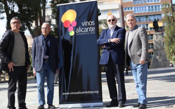 Esta actividad se traslada a la Plaza Castelar, donde se ha presentado hoy.