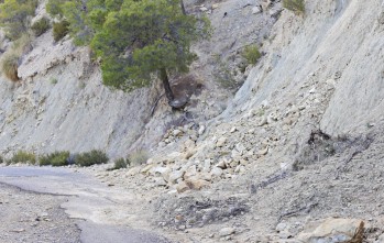 El arreglo del Camino del Cid de Petrer, a la espera de adjudicación