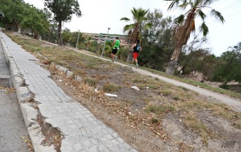 Imagen de la situación actual de un tramo de los jardines del Vinalopó | Jesús Cruces.