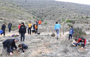Una de las visitas será a la umbría de Bolón |  Archivo Valle de Elda J.C.