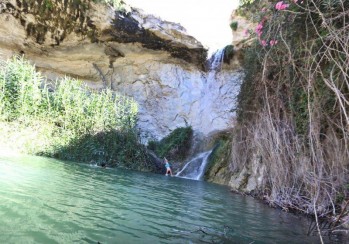 El agua ha devuelto la vida a esta rambla | Jesús Cruces.