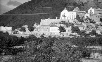 Aspecto de los huertos antes de convertirse en lo que en la actualidad es el parque | José Esteve.