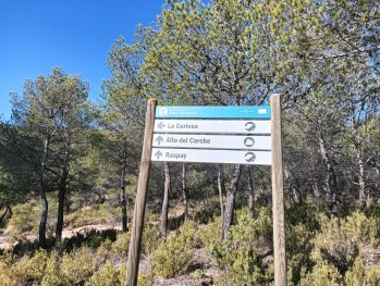 Temperaturas en ascenso