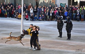 Imagen de la exhibición con una unidad canina | Jesús Cruces.