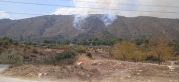 El incendio ha sido estabilizado alrededor de las 20 horas | Meteo Vinalopó. 