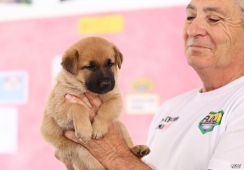 Los cachorros fueron encontrados en la zona de La Torreta | Jesús Cruces.