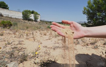 El arenal se encuentra en la parte norte de La Torreta | Jesús Cruces.