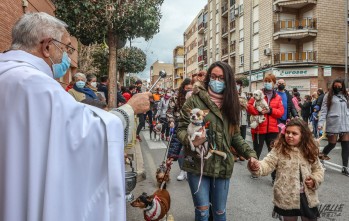 Cientos de animales han vuelto a ser bendecidos en Petrer | J.C.