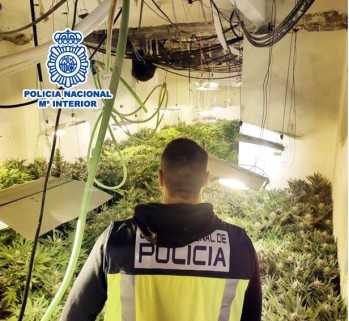 Imagen de la plantación | Policía Nacional. 